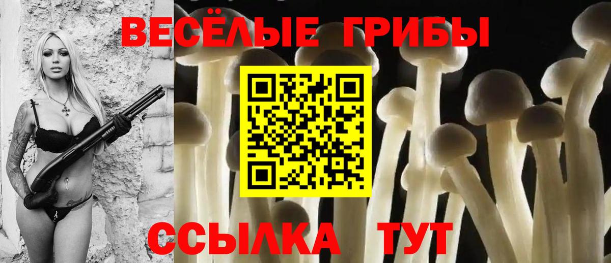Галлюциногенные грибы GOLDEN TEACHER Орёл