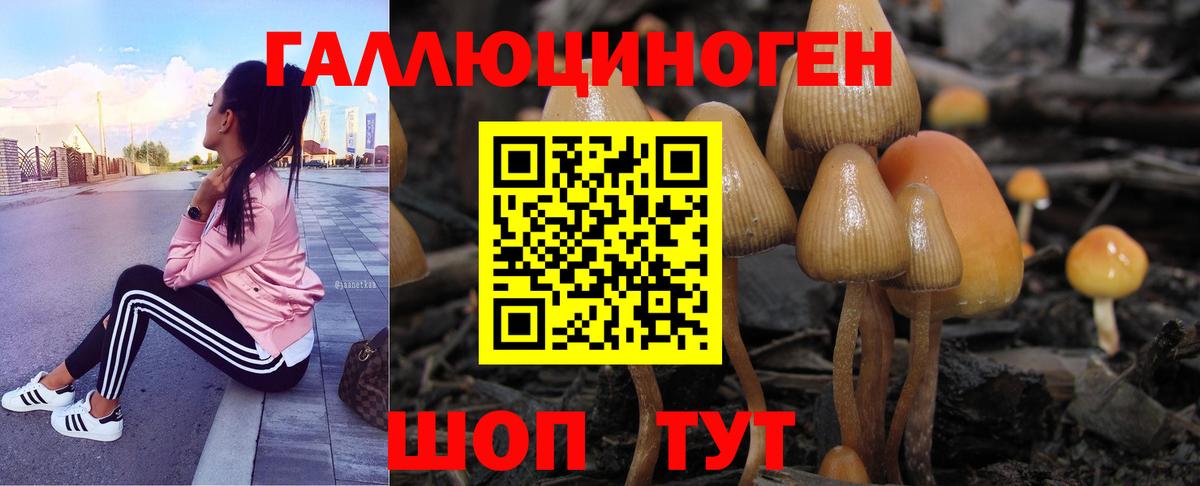 где можно купить наркотик  Галлюциногенные грибы GOLDEN TEACHER  Вход с VPN  Орёл 